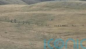 Ceasefire holds between Armenia and Azerbaijan