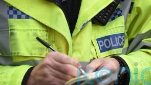 Police appeal after woman dies in early-hours car crash