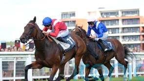 Sacred ‘in a better place’ but Newbury could be final run