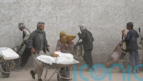 UN food chief warns of ‘tsunami of hunger’