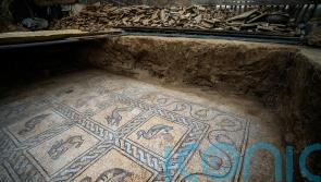 Palestinian farmer discovers rare ancient treasure in Gaza