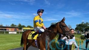 Newbury victory books Champions Day ticket for Stay Alert