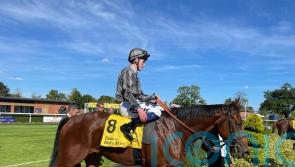Mitbaahy bounces back to rule in World Trophy