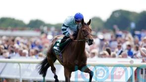 Quickthorn ‘in great form’ for Cadran challenge