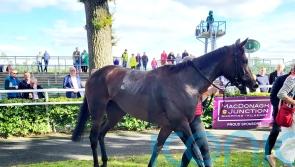 Paris Peacock continues on the upgrade at Gowran Park