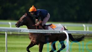 Baaeed limbers up for Champions Day by starring on Newmarket gallops