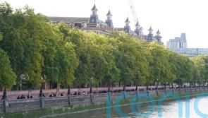 259 people queuing for Queen’s lying in state needed medical support on Saturday