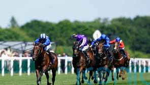 Ascot gearing up for Baaeed’s Champion Stakes swansong