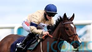Outbox edged out in thrilling finish at Bro Park