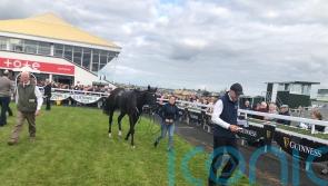 Mullins dominates at Listowel with Easy Game winning yet again