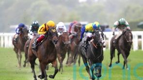 Dragon Symbol likely to take Champions Sprint test