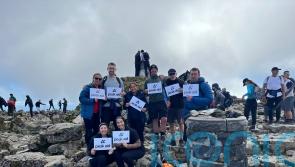 Members of TV show Hunted to swap suits for jogging bottoms for cancer awareness