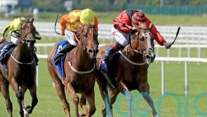 Meditate, Trillium and Treasure Trove set to do battle at Newmarket