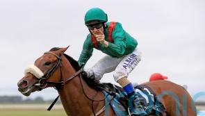 Winter warmer – Tahiyra will have connections dreaming of what is to come