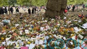 Floral tributes for Queen to be composted and used in Royal Parks