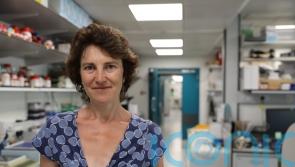 UK’s first institute dedicated to early cancer research opens in Cambridge