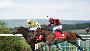 Ferguson ‘tempted’ by longer trip at Ascot for Mise En Scene