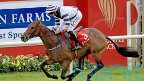 No Risk No Fun puts down Grade One marker at Listowel
