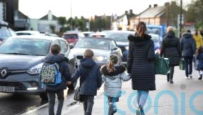 Campaigners call for details over plans to reduce car use by 20%