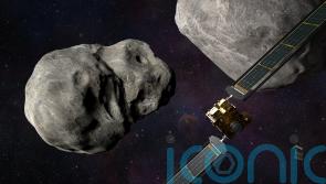 Nasa spacecraft set to smash into asteroid in planetary protection test mission