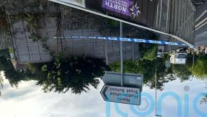 Boy, 16, arrested on suspicion of murder after teen stabbed outside school gates