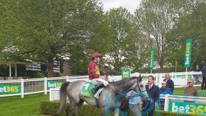 Cash far from certain to make Champions Day