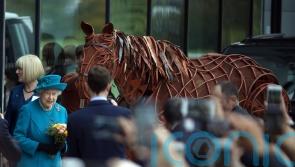 War Horse creator reveals the Queen’s love of Joey as novel celebrates 40 years