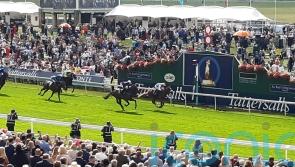 Oviedo sights set on Goffs Million payday