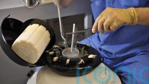 Private IVF patients not getting all facts to make informed decisions – watchdog