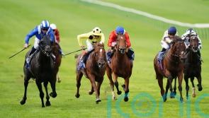 Mutasaabeq puts it all together for Joel Stakes victory