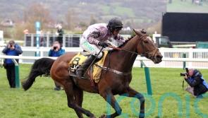 Delight for Henderson as long-absent Pentland Hills makes winning return