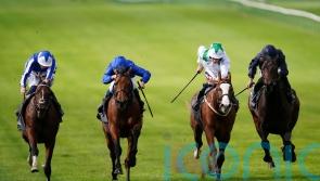 The Foxes springs a surprise in Royal Lodge
