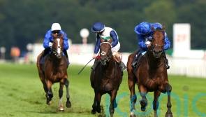 Adayar still in Arc contention following Saturday workout