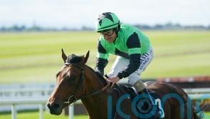Galeron snatches Goffs Million riches