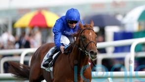 Appleby rules out Arc bid for Hurricane Lane