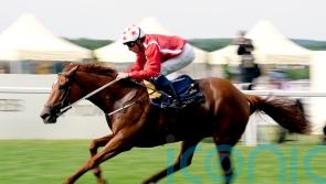 Buick booked for Saffron Beach reunion at Newmarket