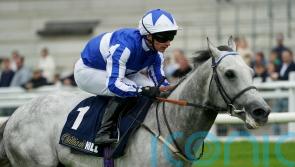 Art powers home in Renaissance defence