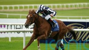 Basil Martini steps up to take Weld Park win