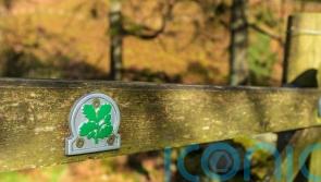 National Trust: Government going in ‘opposite direction’ to protecting nature