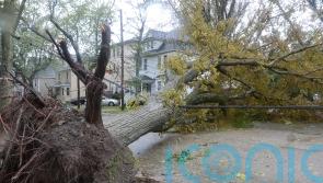 Canadian military sent in to assist after Storm Fiona lashes Atlantic provinces
