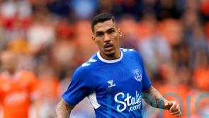 Allan leaves Everton for Abu Dhabi side Al Wahda