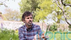 Gardeners’ World presenter Adam Frost shares 5 top spring bulbs