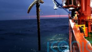 Anchor discovered during offshore wind farm work may date from Roman times
