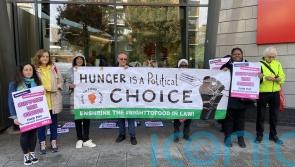 Picket line college lecturers say strike is most significant they have taken
