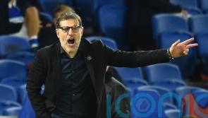 Watford appoint Slaven Bilic as manager after sacking Rob Edwards