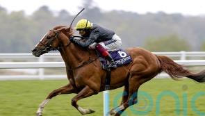 Nielsen feels timing was right as Stradivarius heads to stud