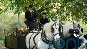 Shire horses transport flowers left for Queen in ‘fitting’ final tribute