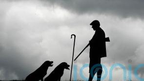 MSPs seek clarity over proposed new hunting with dogs laws