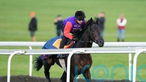 Educator to be landmark first runner for the King