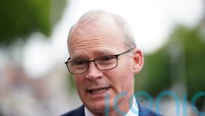 Referendums which back Russian rule in Ukraine a sham – Coveney